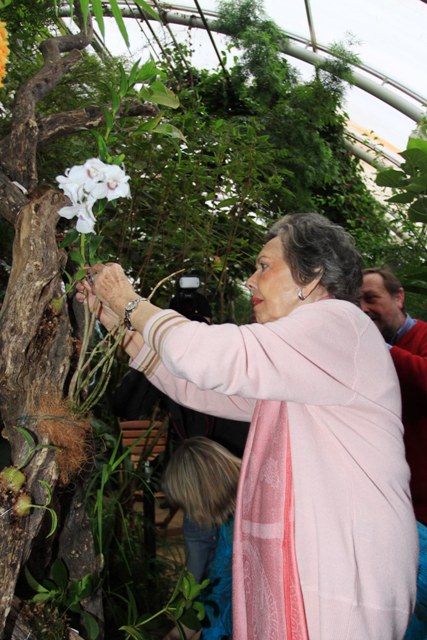 Jiřina Jirásková a orchidej