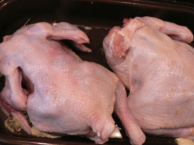 f4 pečená kuřátka