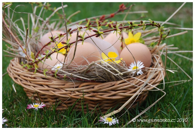 vejce v jarni trave