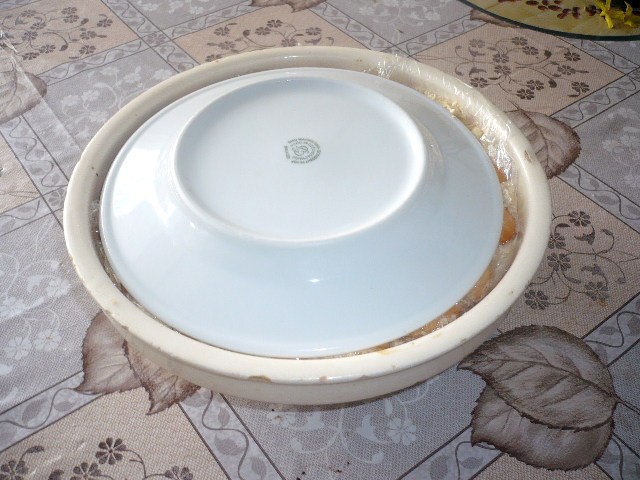 P1100258