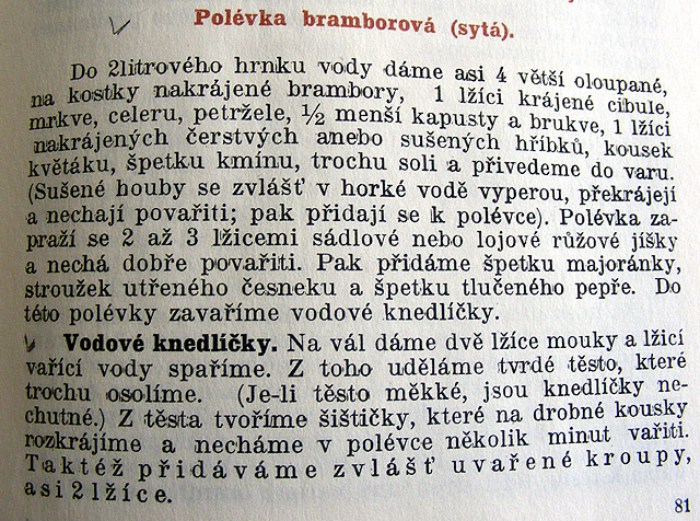 kejrova-polevka-bramborova_syta