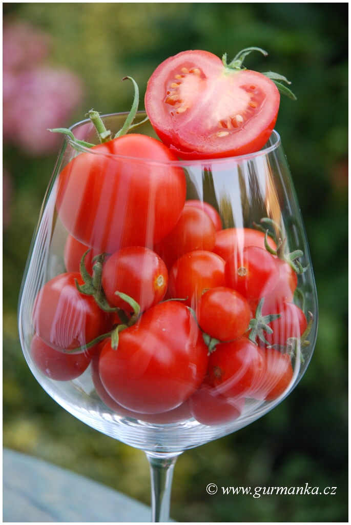 "pěstování rajčat"