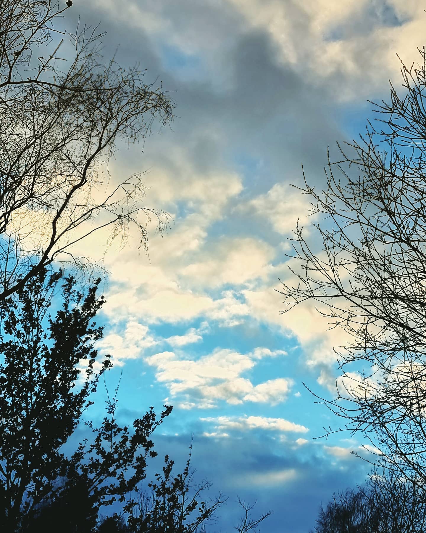 Nejkrásnější věci přicházejí v mezerách mezi vteřinami 🌟Celou dobu vidím jen nudné kovové nebe a pak přišla chvilka plná barev. Dneska to mám zase za odměnu 😉❄️👍#Kucharkazevsi #gurmanka #sky #nebe #zima #stmivani #czechnaturephoto #fotimeprirodu